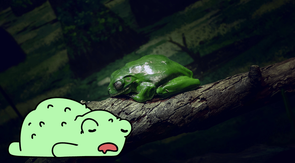 do frogs hibernate?
