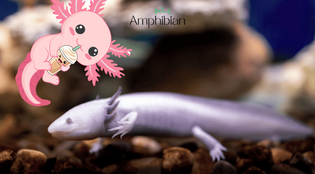 How Long Can an Axolotl Go Without Food in the Wild
