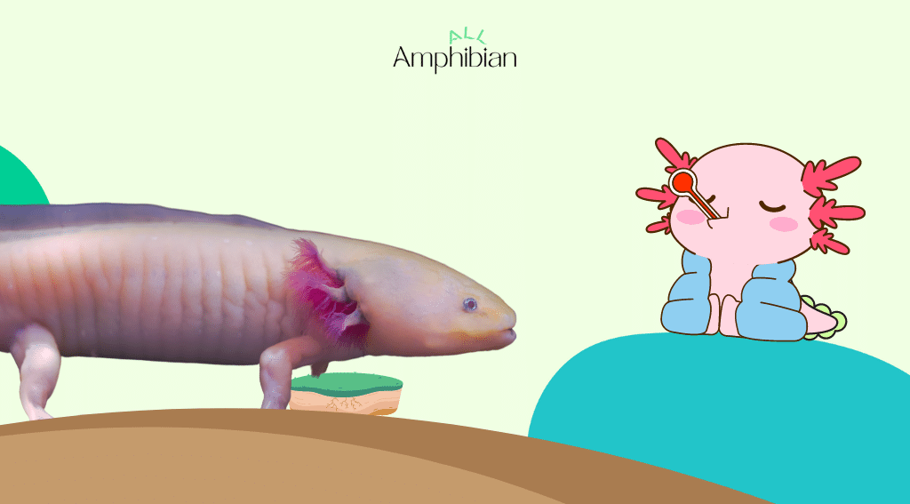 can axolotls survive on land