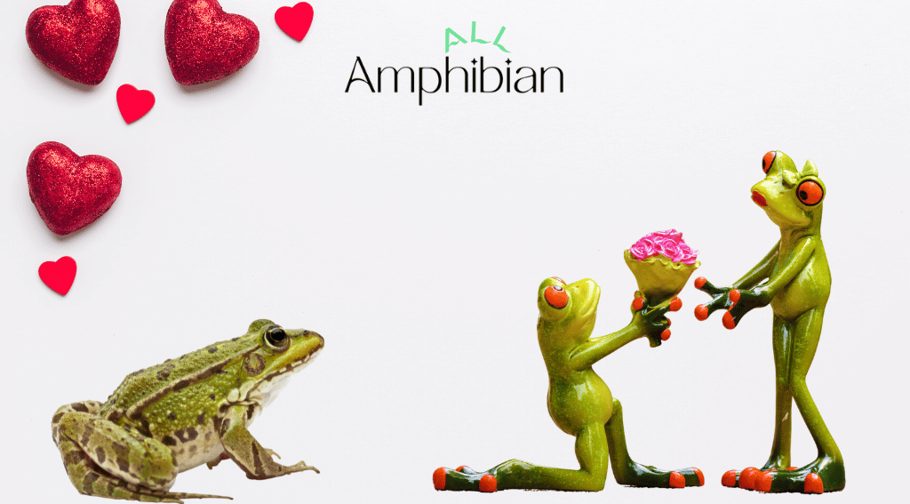 can frogs feel the love
