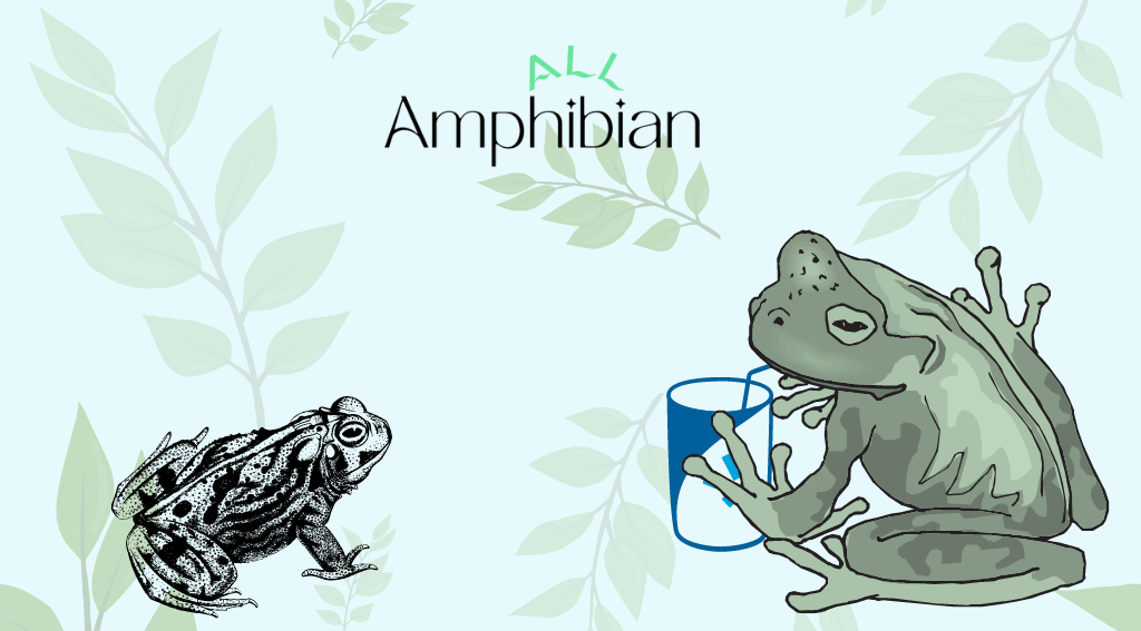 how do frogs drink