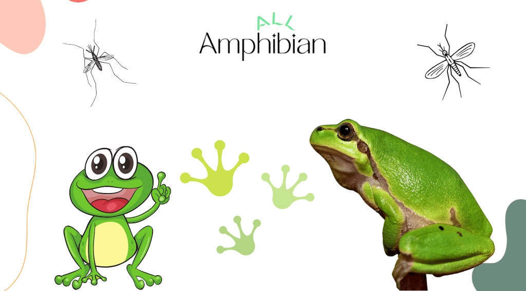 when are frogs happy