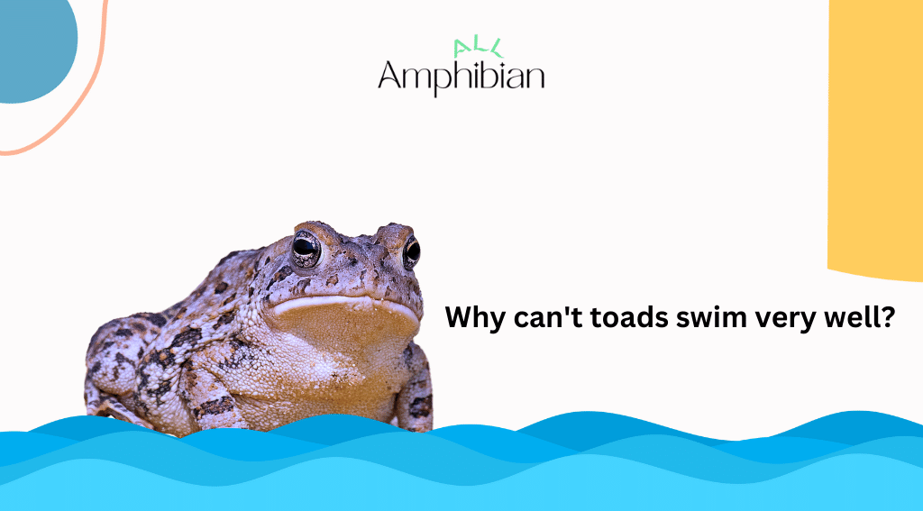 why can't toads swim very well