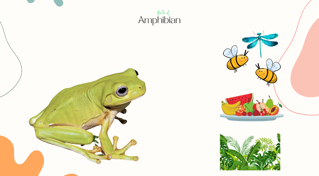 Are frogs omnivores?