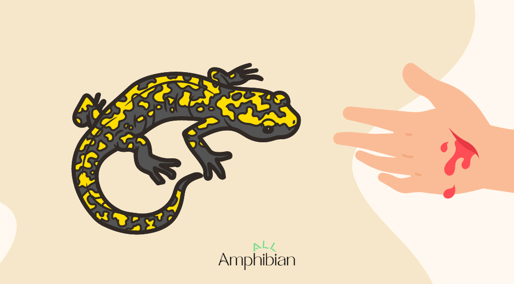 Bite of salamanders