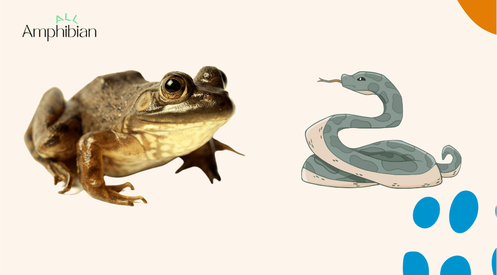 Can bullfrogs kill and eat poisonous snakes