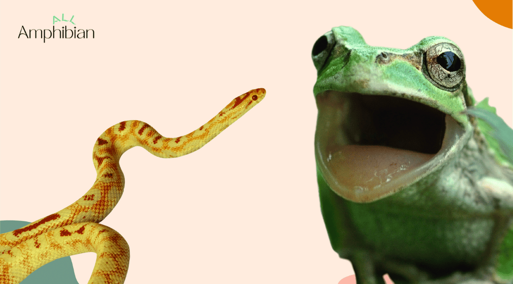 Do frogs eat snakes?