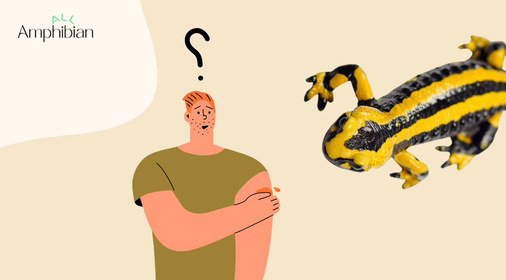 Do salamander bites hurt?