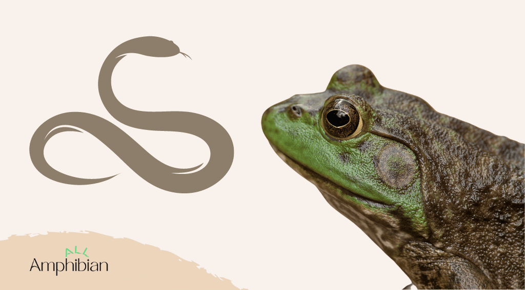 how bullfrogs can kill snakes