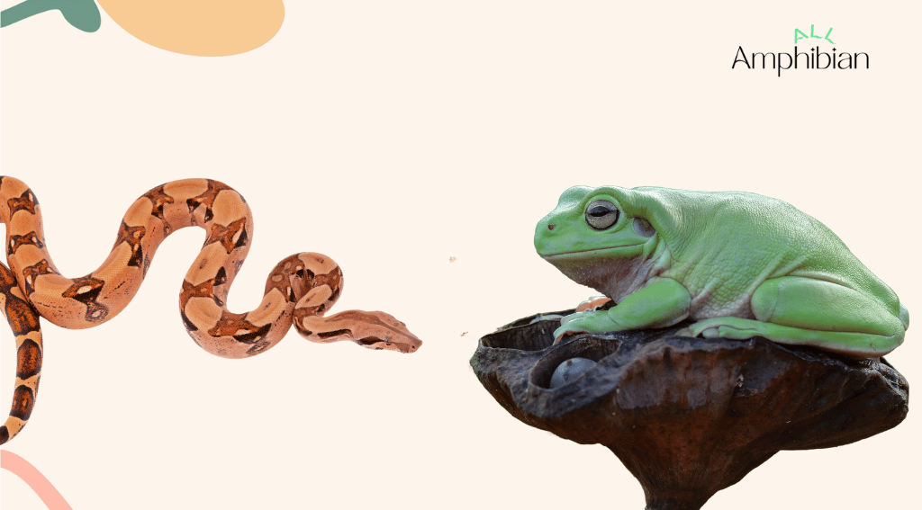 How do frogs hunt and kill snakes?