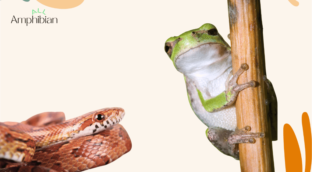 How do frogs hunt snakes?