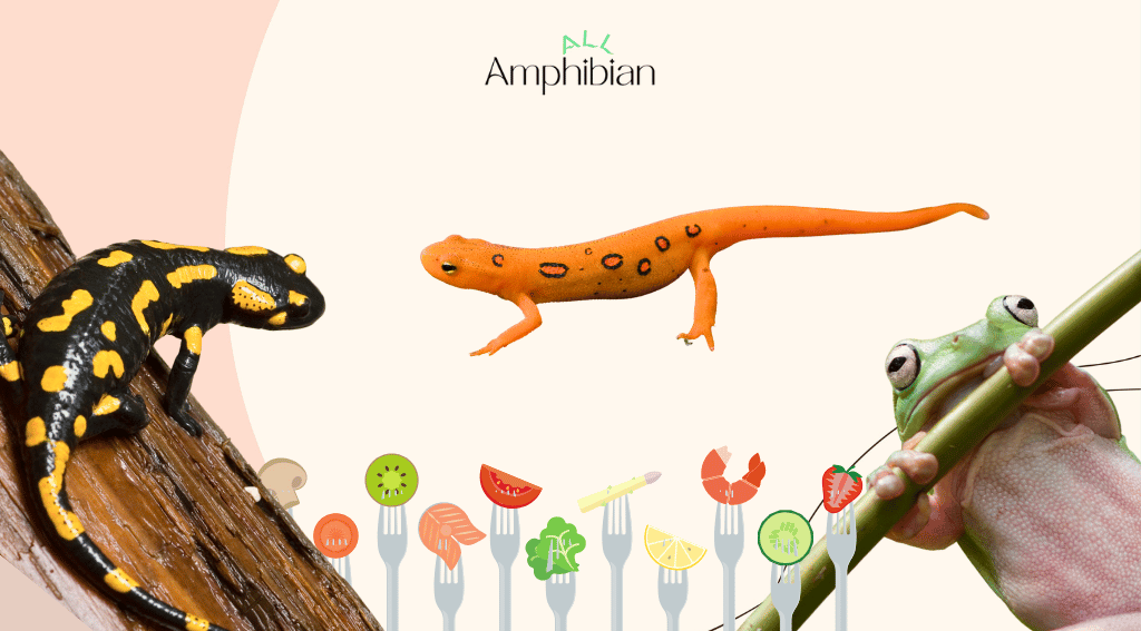 What kind of food do amphibians eat?