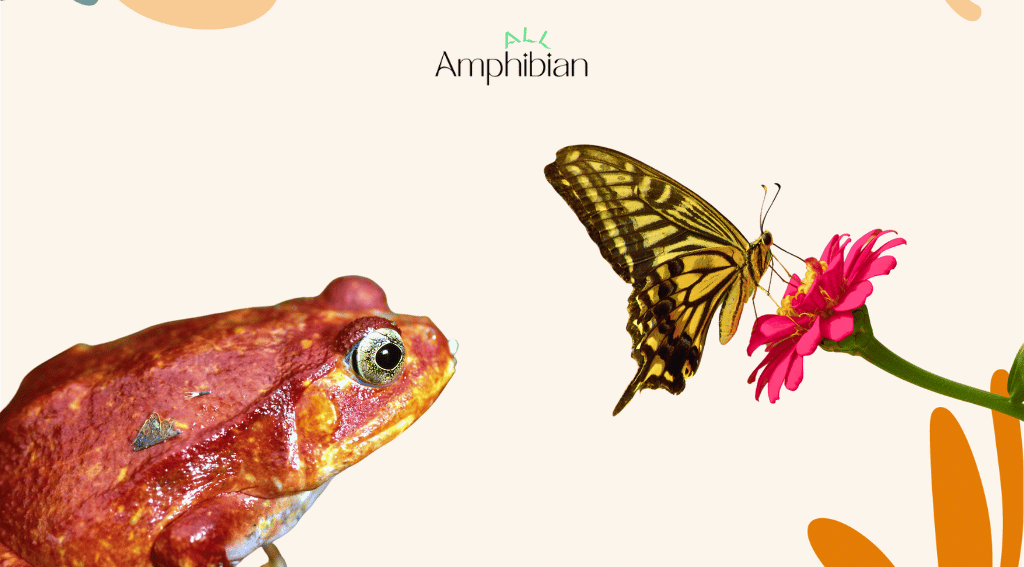 Can frogs eat butterflies?