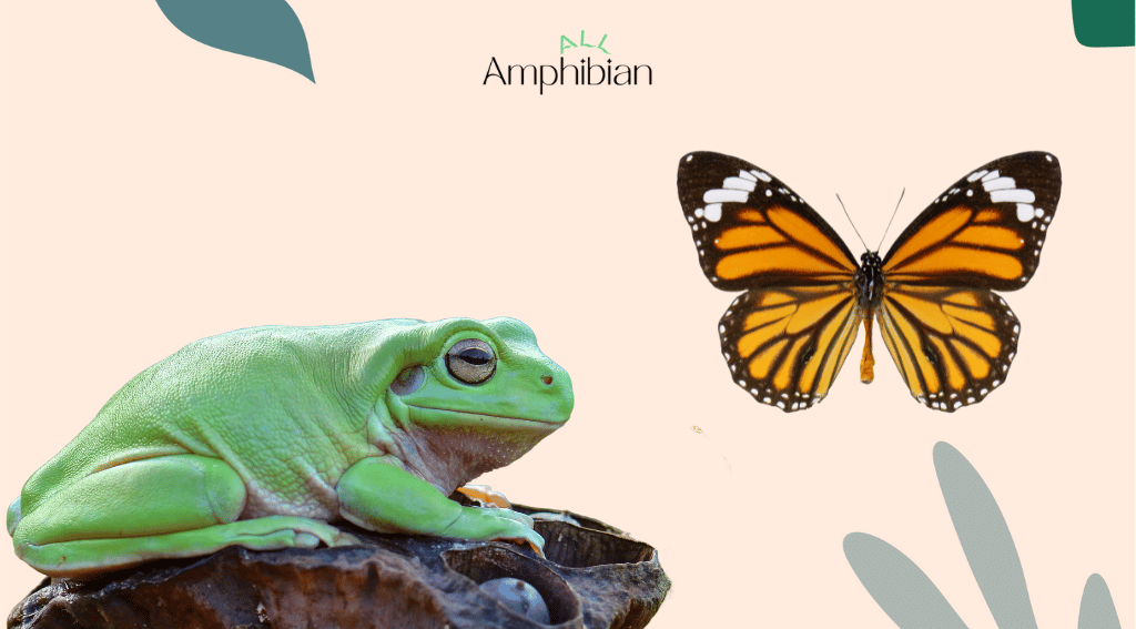 Do frogs eat butterflies?