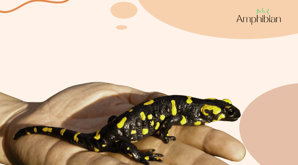 salamanders are cold-blooded