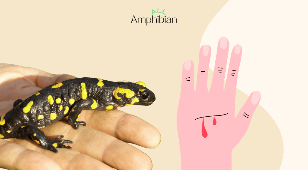 Salamanders bite