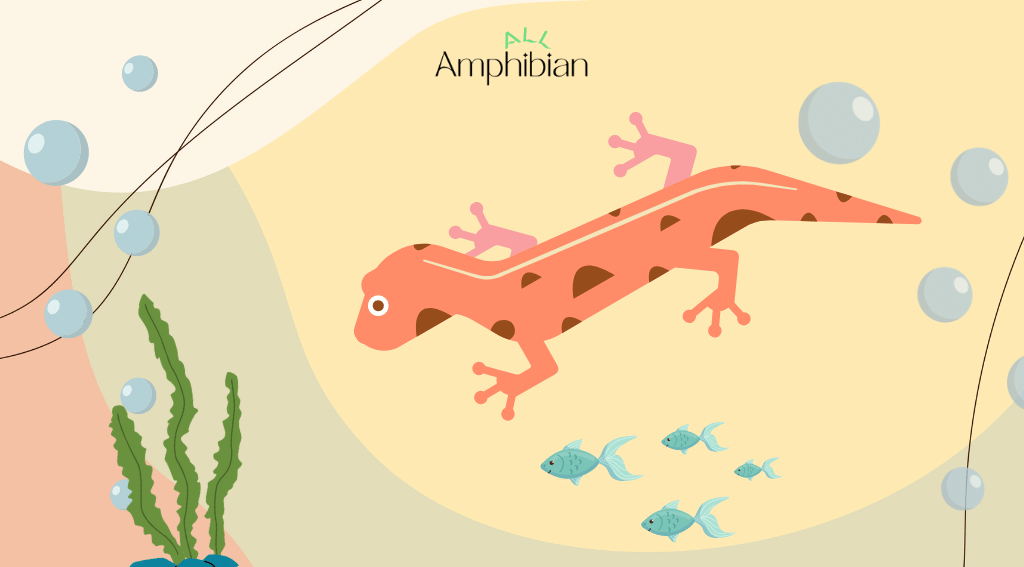 How do newts breathe underwater?