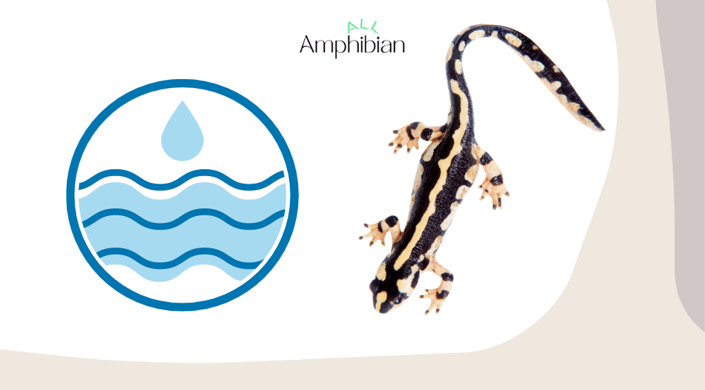 The best water for amphibians